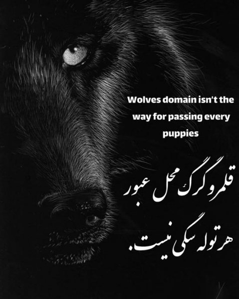 پروفایل انگلیسی لاکچری