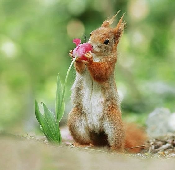  عکس انگیزشی انرژی مثبت