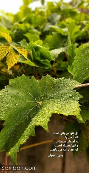  عکس انگیزشی اول صبح