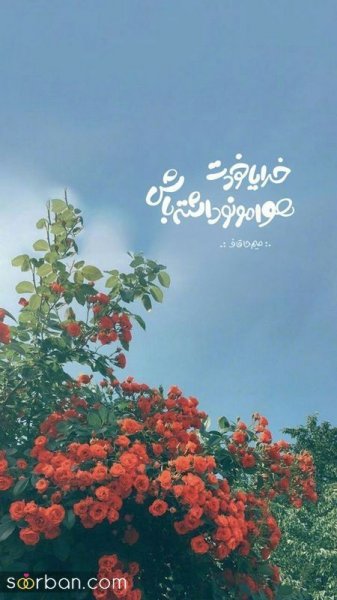 عکس صبح بخیر زیبا