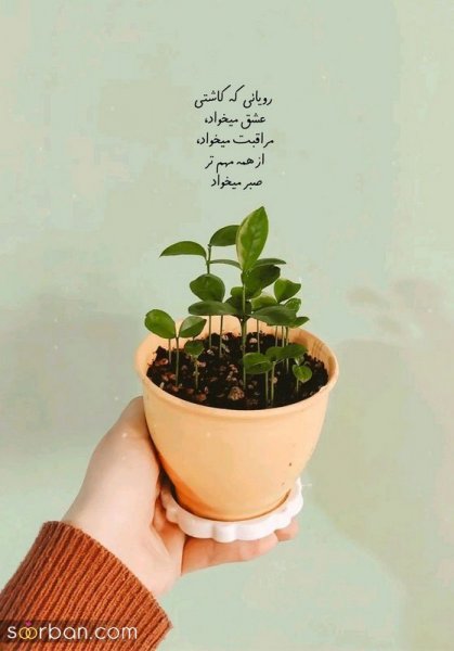  عکس انگیزشی اول صبح