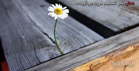 متن انگیزشی امید به زندگی