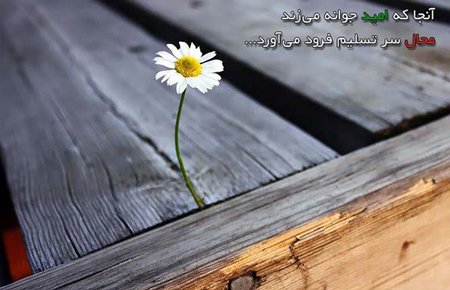  عکس پروفایل امید و آرزو