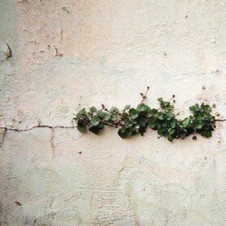  عکس امید داشتن