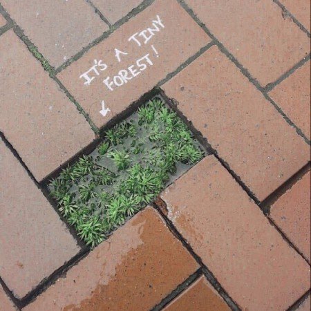  عکس امید به زندگی بدون متن