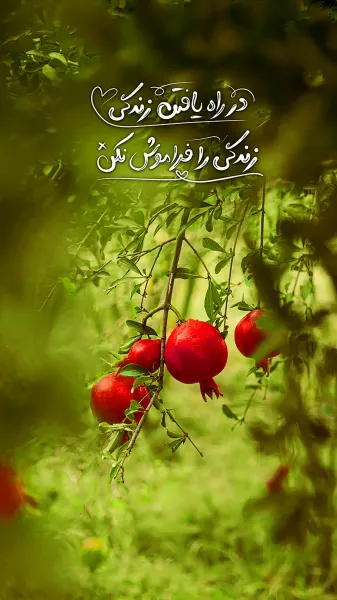  عکس پروفایل امیدواری به خدا