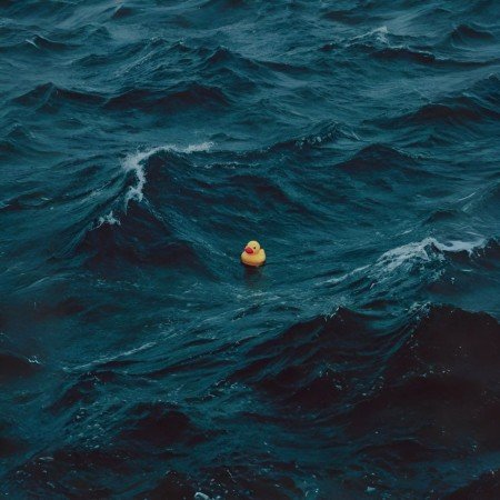  پروفایل امیدواری و موفقیت