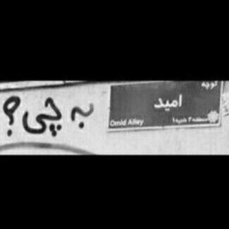  پروفایل امیدواری و موفقیت