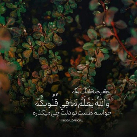  پروفایل امیدواری و موفقیت