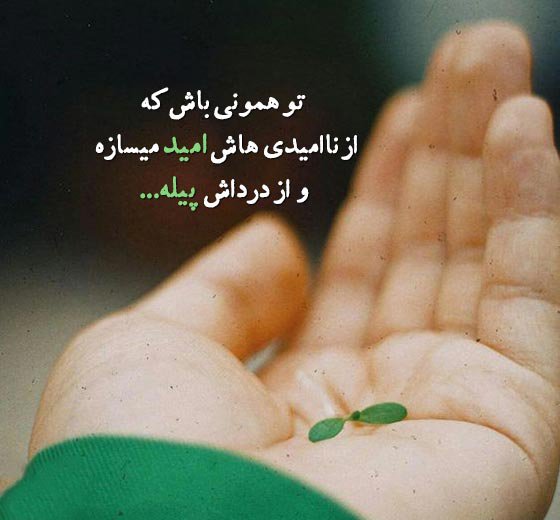  پروفایل امیدواری به اینده