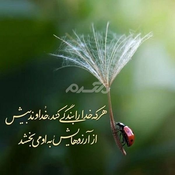  پروفایل خدا جدید