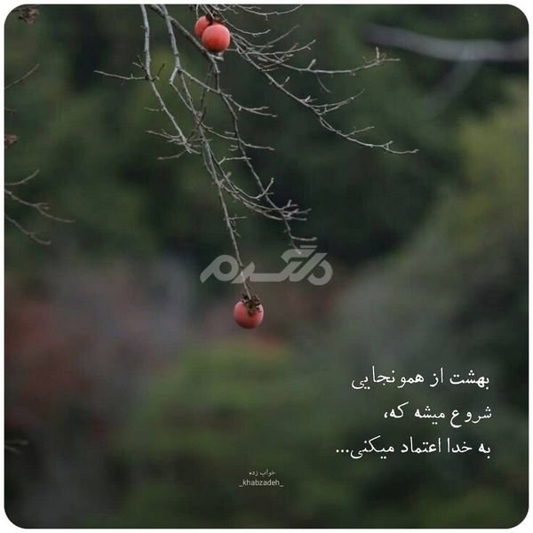  پروفایل خدا جدید