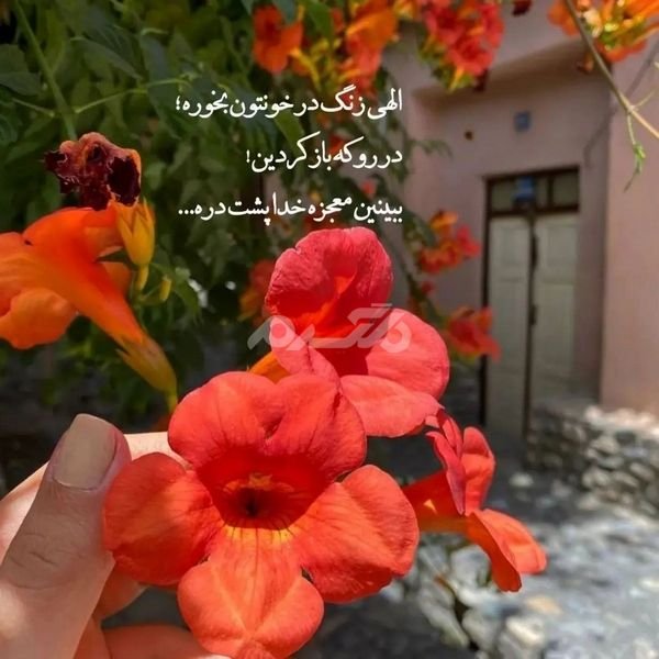  پروفایل خدا جدید