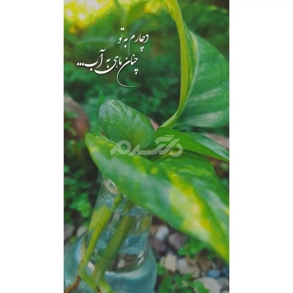  پروفایل خدا جدید