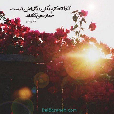  پروفایل امیدوار کننده و شاد