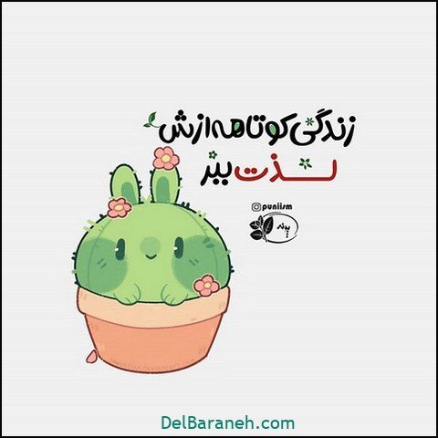  پروفایل امیدوار کننده و شاد