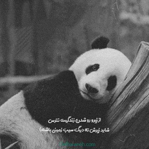  پروفایل امیدوار کننده و شاد