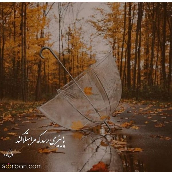  عکس انگیزشی پاییزی