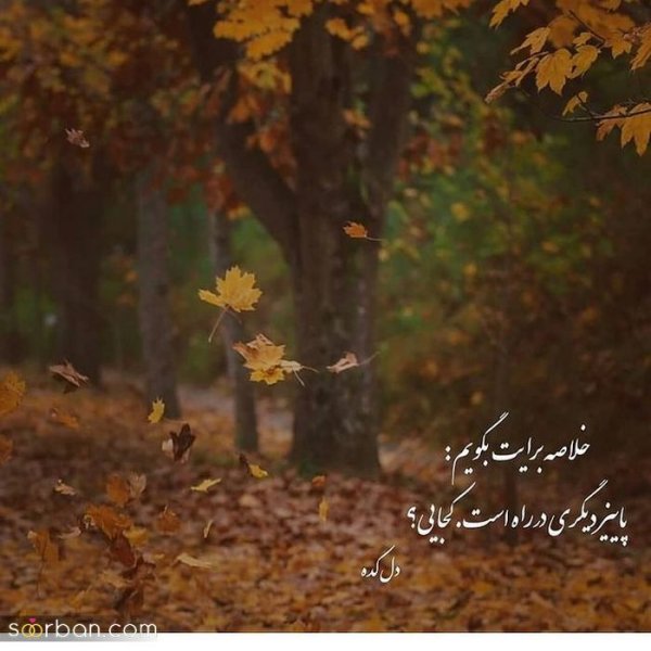  عکس انگیزشی پاییزی