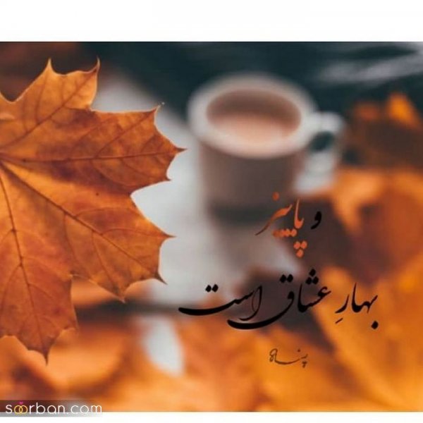  عکس انگیزشی پاییزی