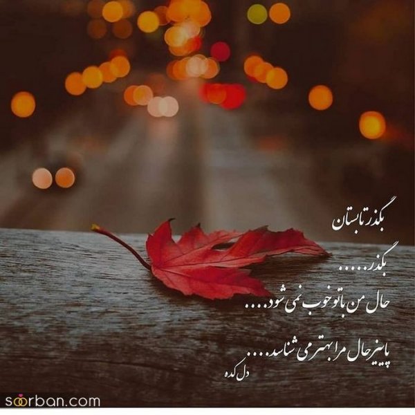  عکس انگیزشی پاییزی