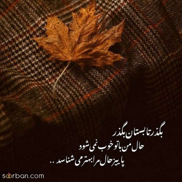  عکس انگیزشی پاییزی