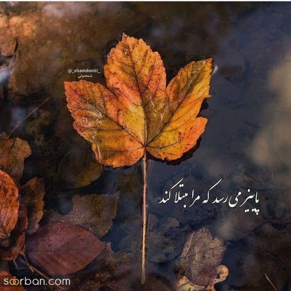  عکس انگیزشی پاییزی