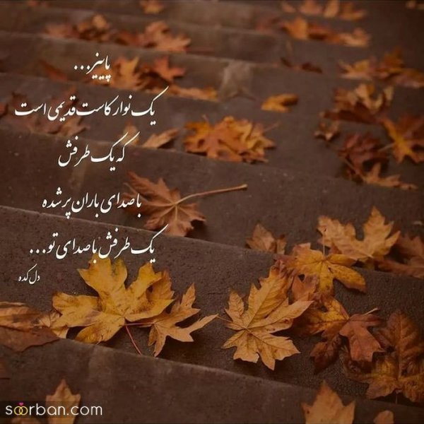  عکس انگیزشی پاییزی