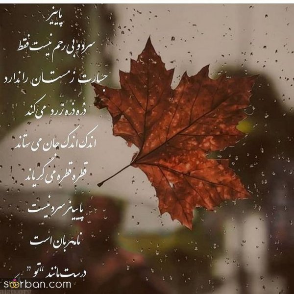  عکس انگیزشی پاییزی