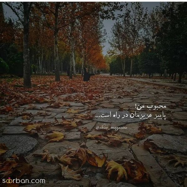  عکس انگیزشی پاییزی