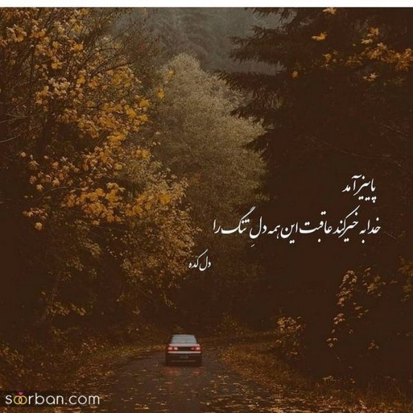  عکس انگیزشی پاییزی