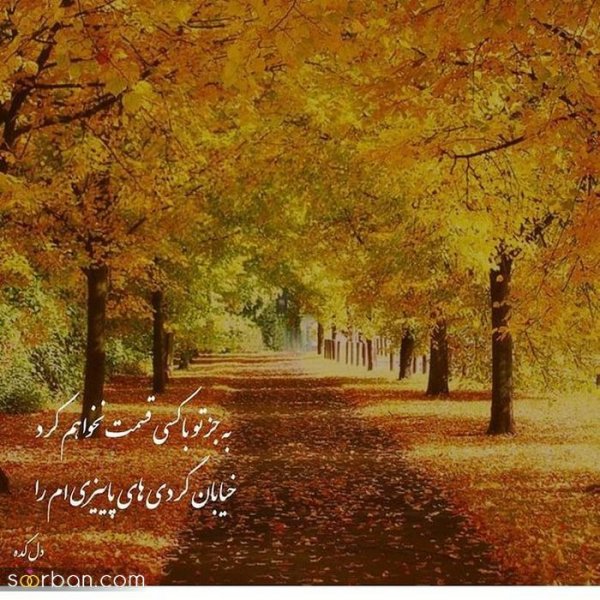  عکس انگیزشی پاییزی