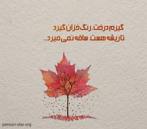  عکس انگیزشی پاییزی