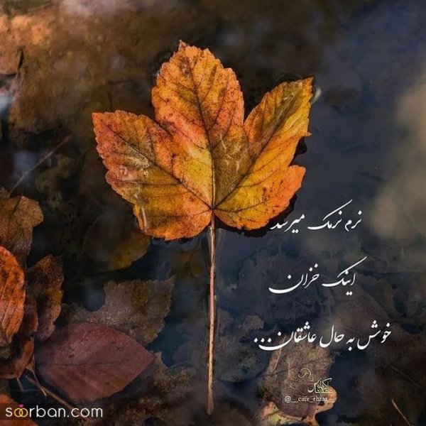 متن برای استوری پاییز عاشقانه