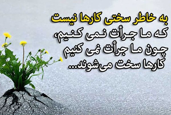 پروفایل ورزشی شیک