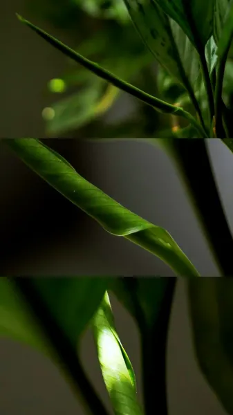  عکس انگیزشی حال خوب