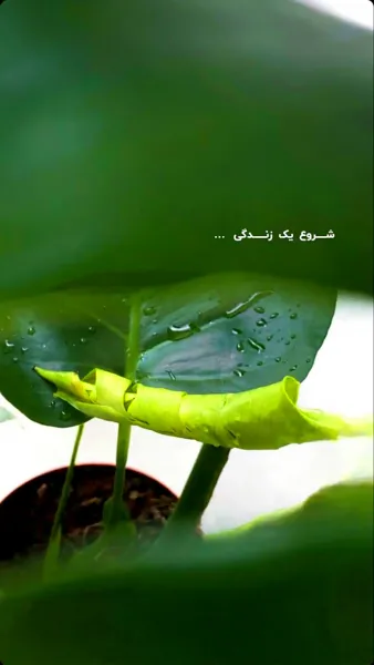 عکس انگیزشی یه حس خوب