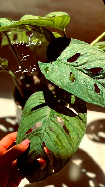  عکس انگیزشی یه حس خوب