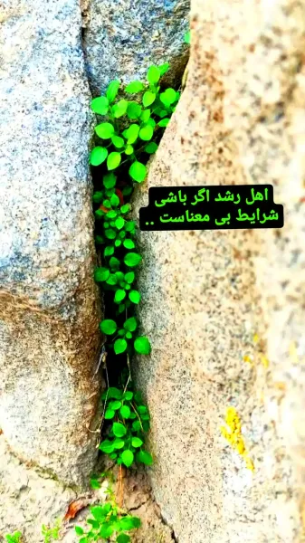  عکس انگیزشی یه حس خوب