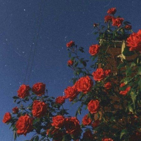  عکس های اسمان