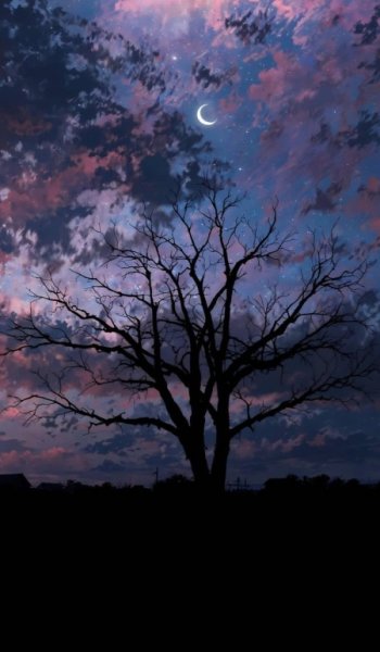  عکس آسمان شب غمگین