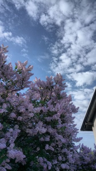  عکس آسمان طبیعی