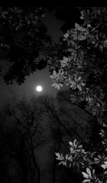  عکس آسمان شب برای پروفایل