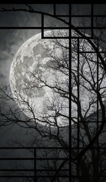  عکس آسمان شب برای پروفایل