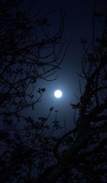  عکس آسمان شب برای پروفایل