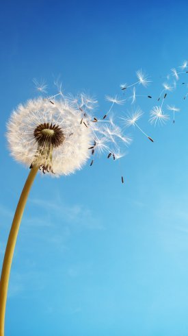  عکس آسمان آبی زیبا