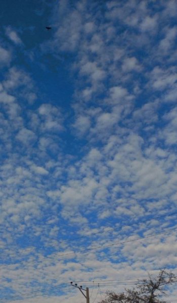  عکس آسمان برای پروفایل