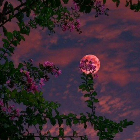  عکس آسمان برای پروفایل