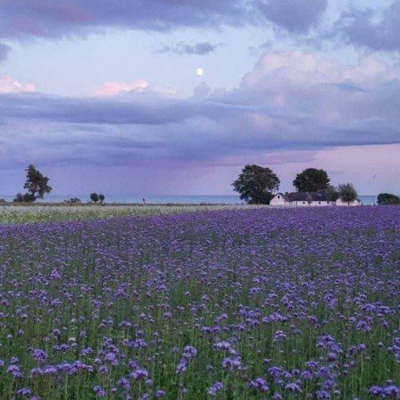  عکس آسمان برای پروفایل