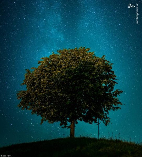  عکس آسمان پر ستاره واقعی